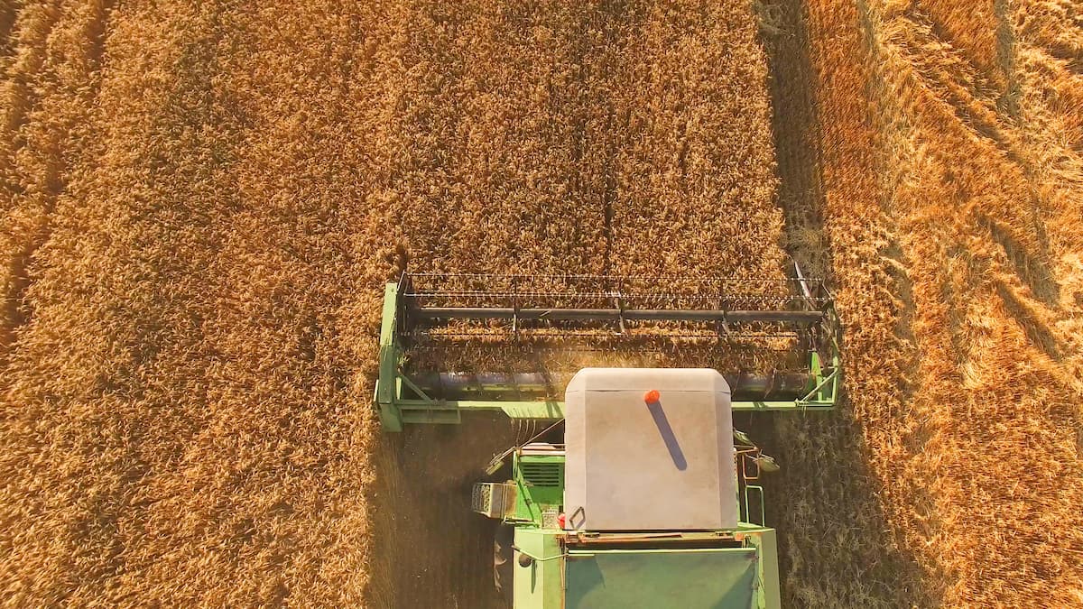Danish investor pays EUR 10 mln for 1,370 ha farm in Romania