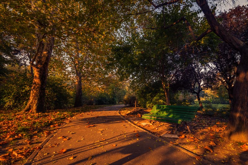 Bucharest districts plan to open, refurbish several parks