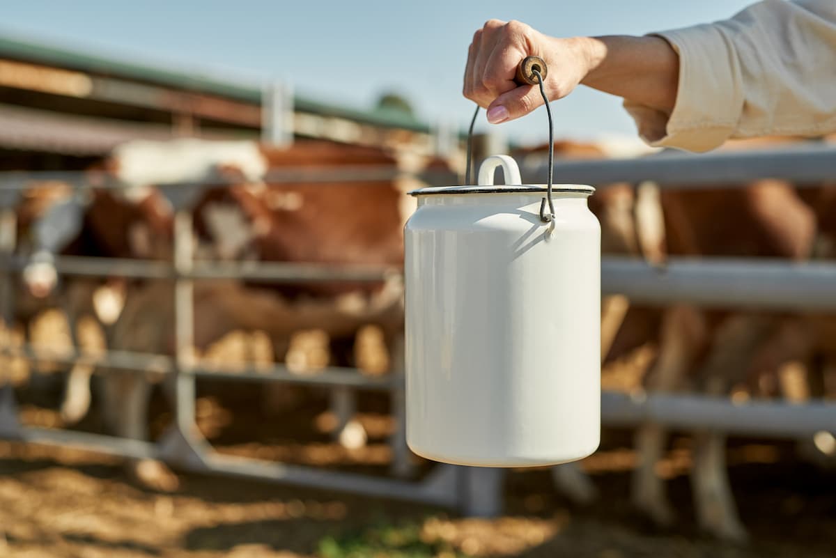 Romanian farmers ask subsidies comparable with those in Hungary or Poland
