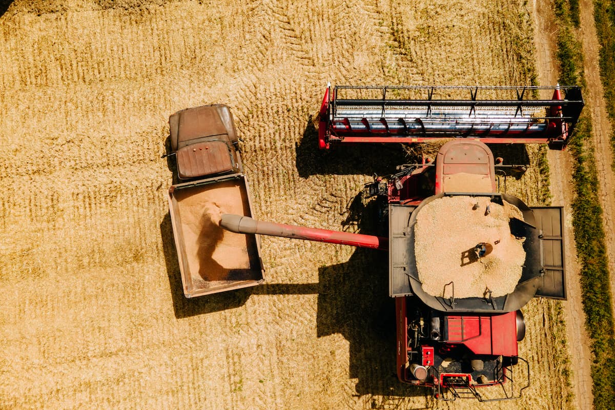 Romania ends 2025 as the largest exporter of cereals in the EU