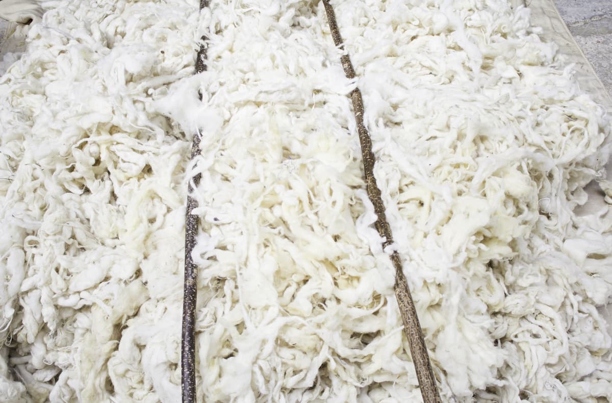 Agriculture Ministry: Largest wool processing factory in Europe will be built in Romania