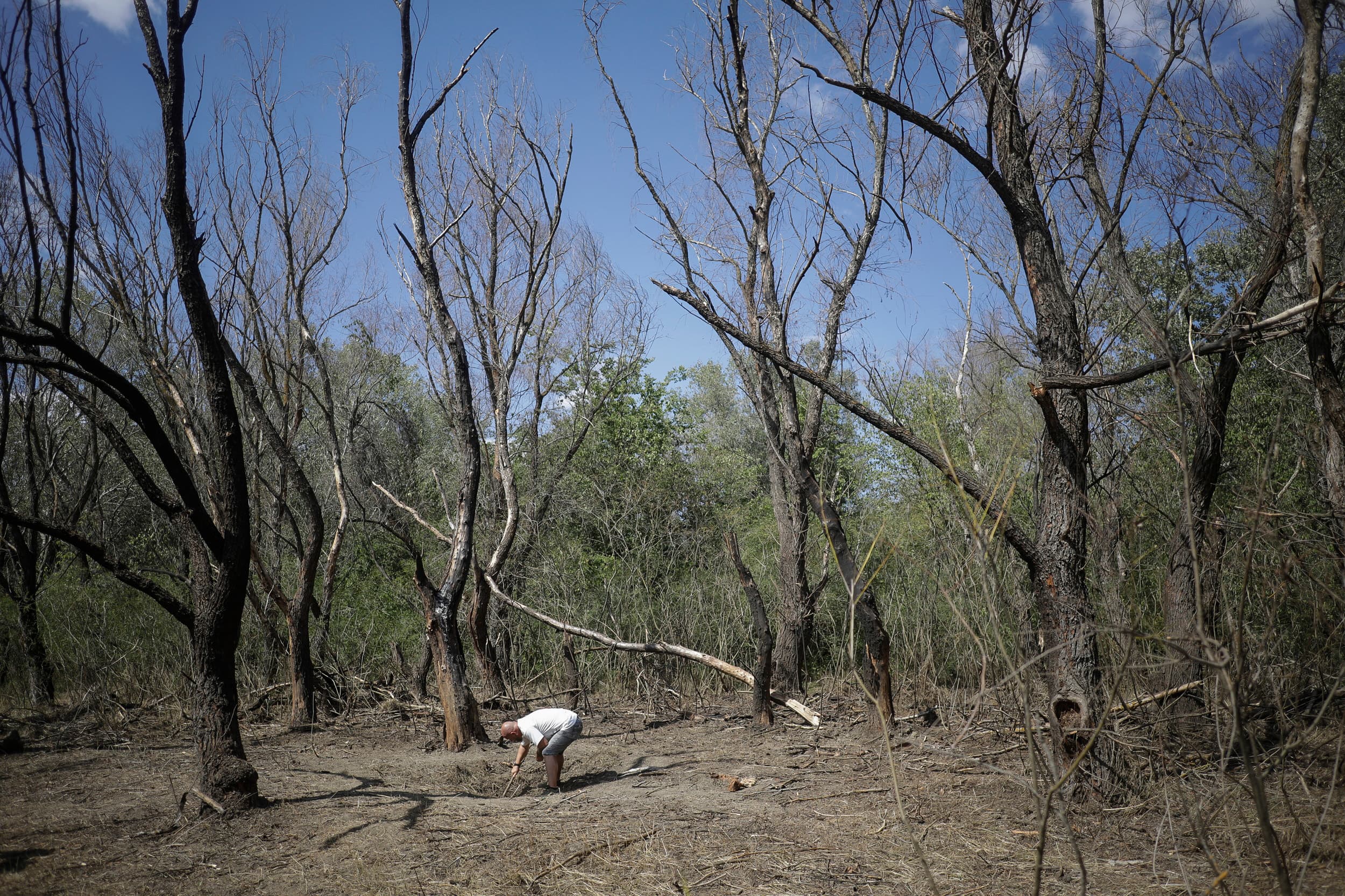 Drone fragments found on Romanian territory similar to those used by Russia