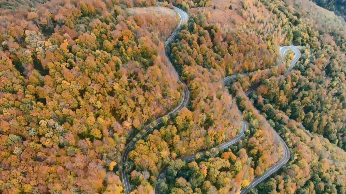 Western Romania: Rehabilitation of Bihor County's beautiful Apuseni Road completed