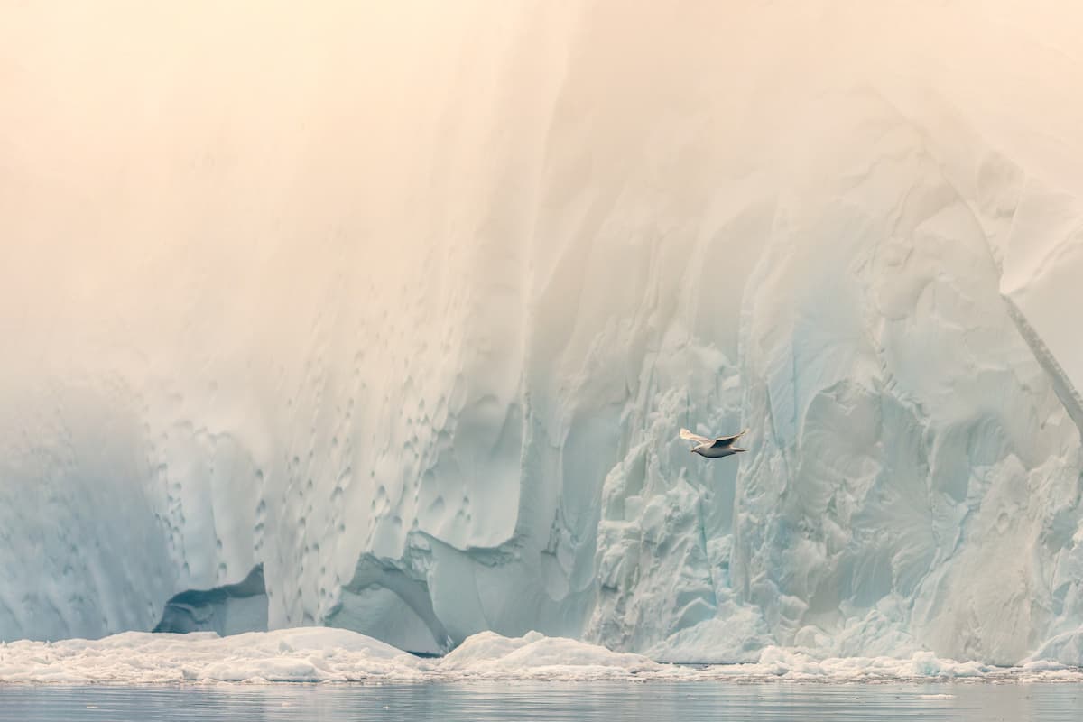 Romanian photographer’s Arctic expeditions in the spotlight at Bucharest Photofest exhibition