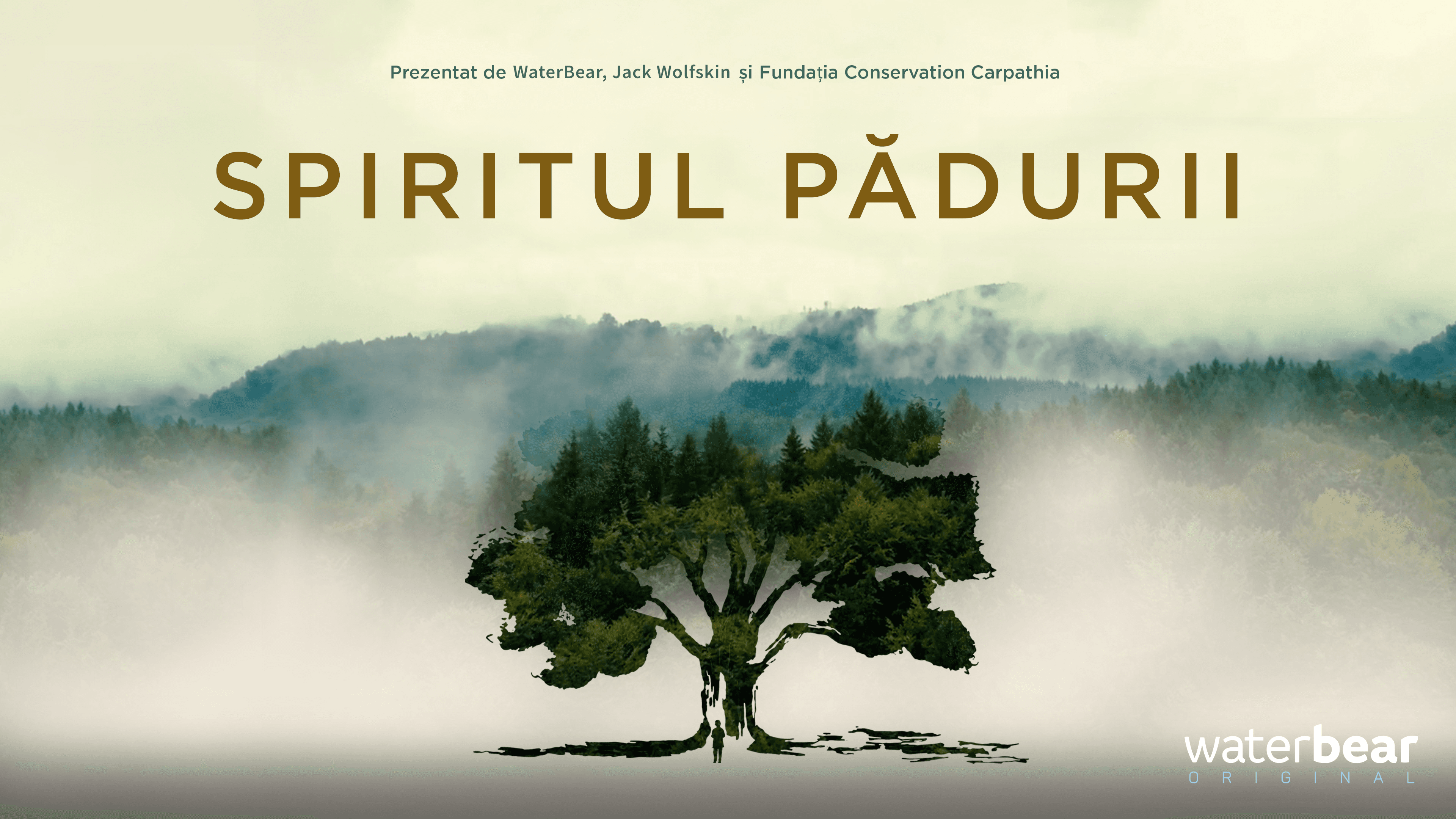 Streaming platform WaterBear launches documentary about Romania's Nucșoara community, beech trees