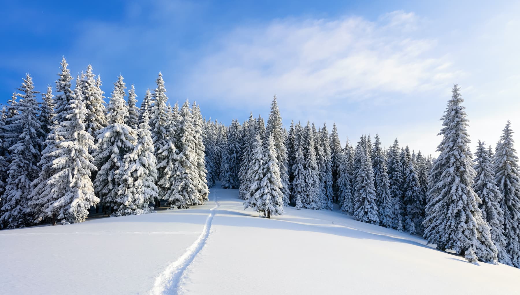 Dreamstime stock photo community launches Wallpaper App
