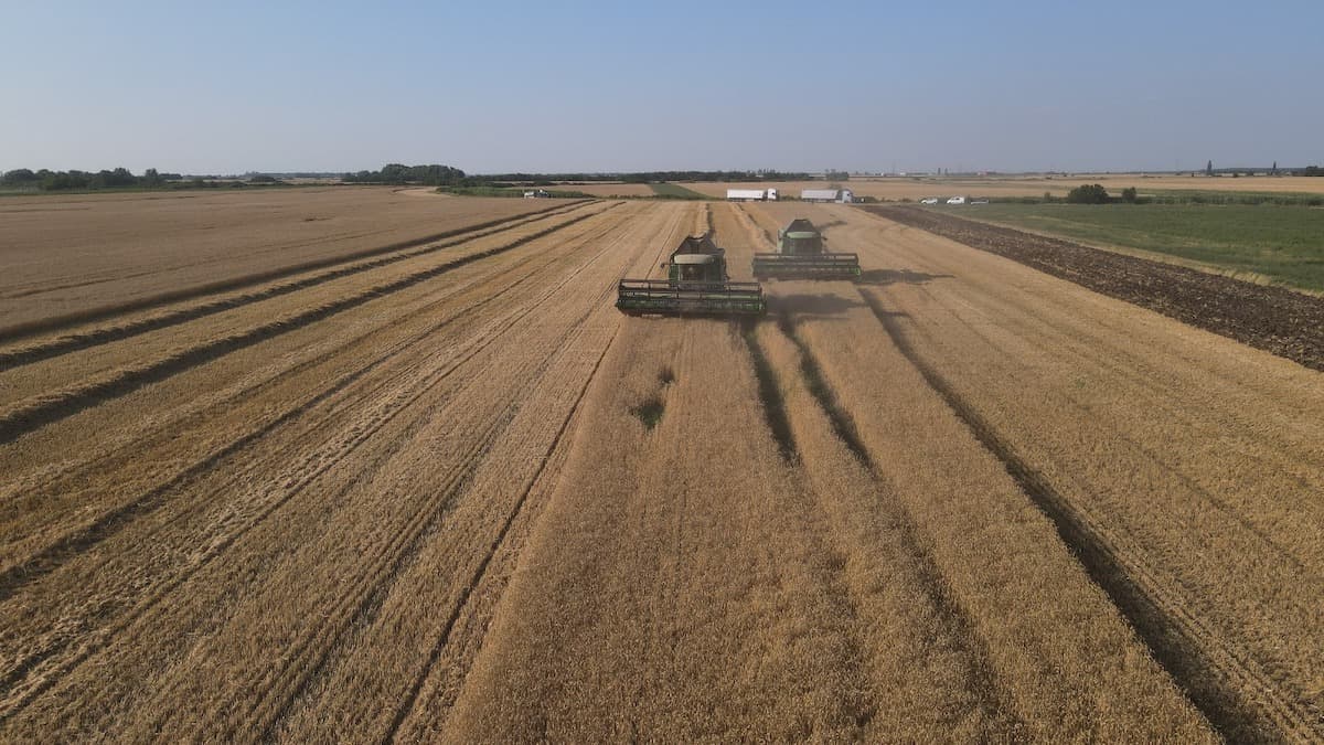 Romanian central bank authorizes ROCA Agri RDF’s new financing tool for the agricultural sector