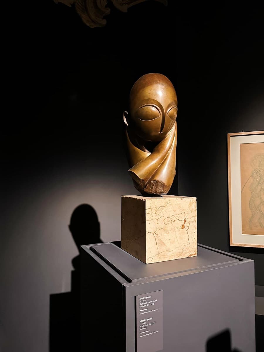 Program of visual arts highlights continues in Timișoara