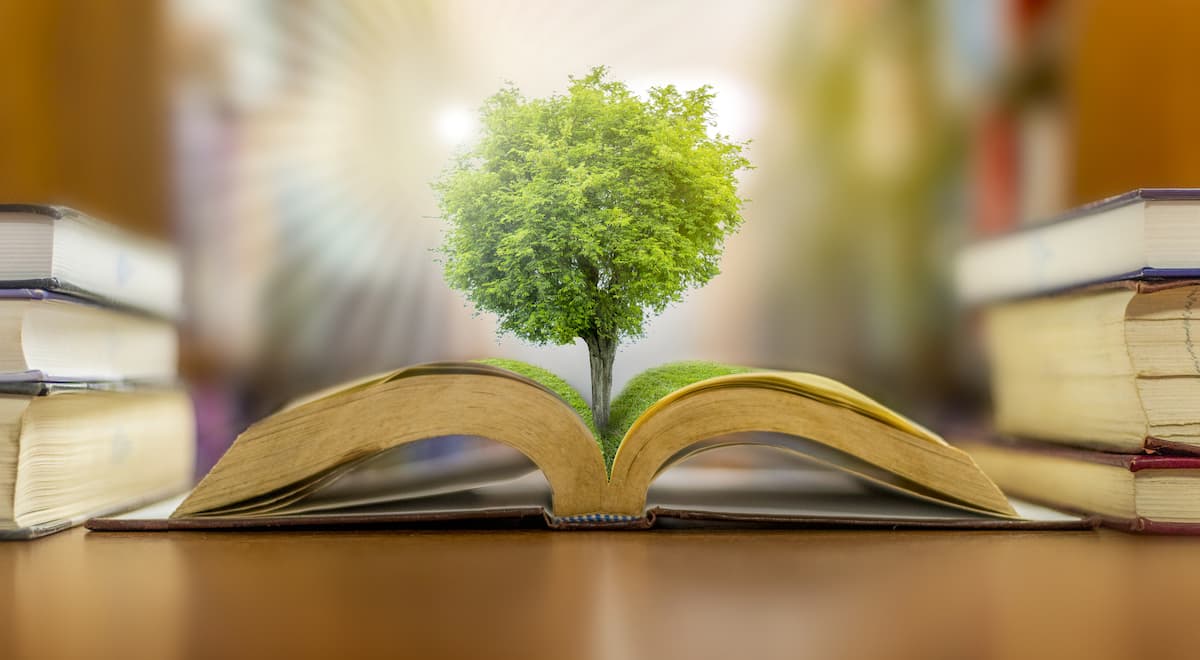 Teach for Romania launches environmental education program in schools from vulnerable communities