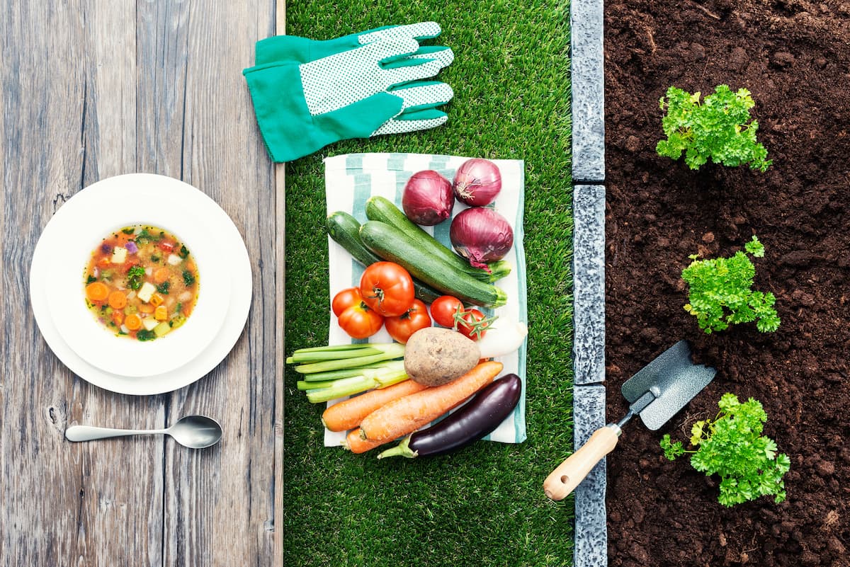 New farm-to-table network to promote sustainable farming, tourism in Romania’s UNESCO Geopark Ținutul Buzăului