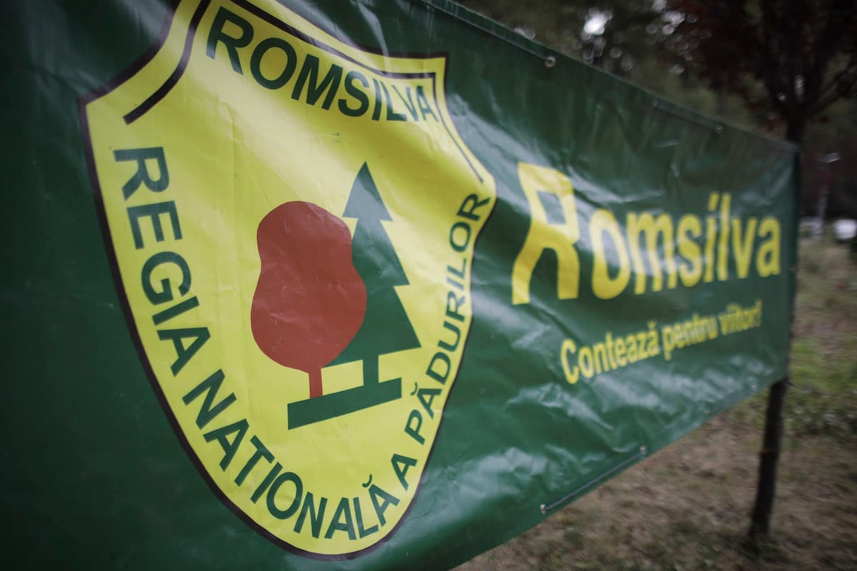 Romanian environment minister appoints disputed figures to Romsilva board citing prior procedure