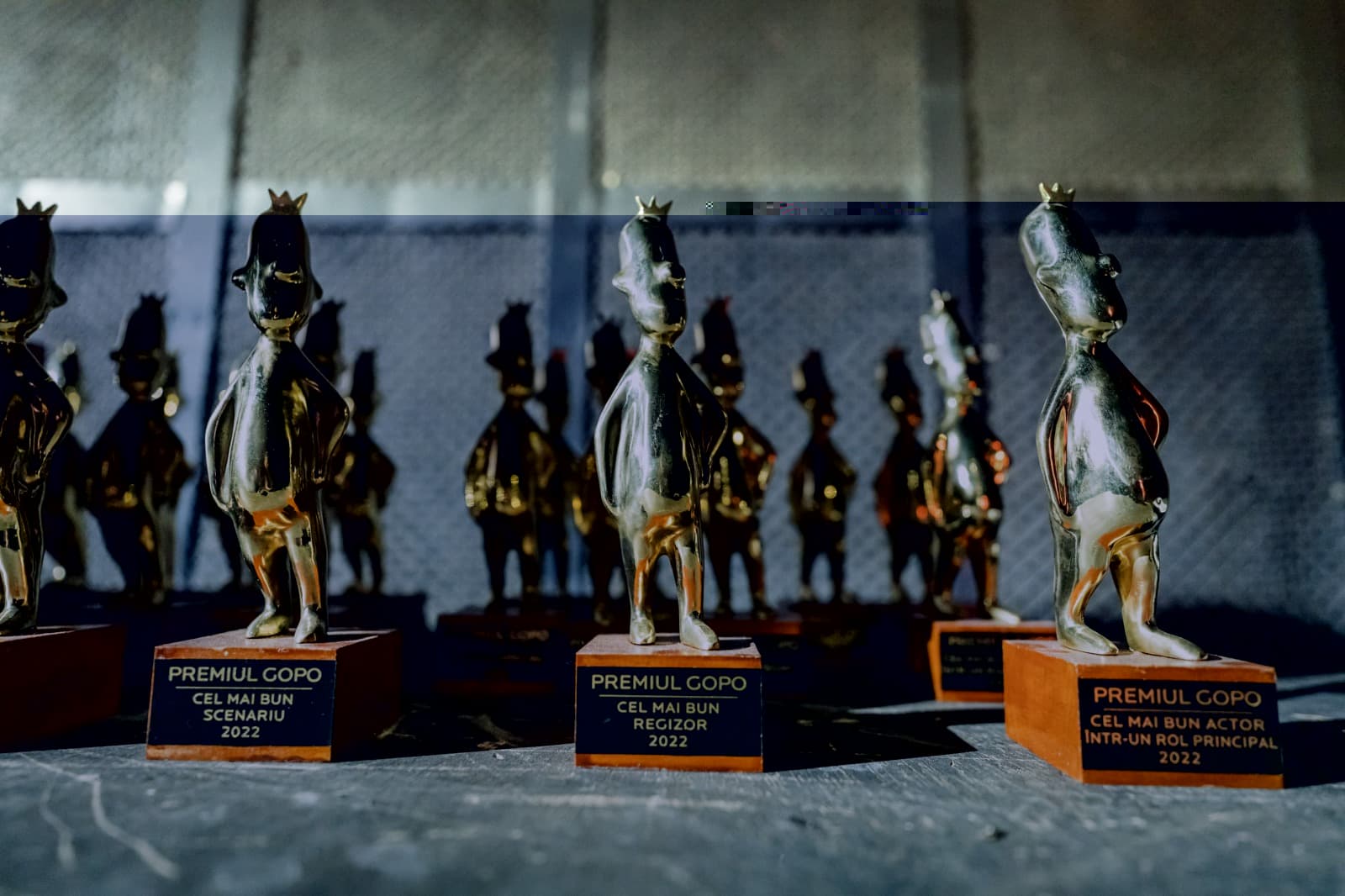Over 100 Romanian productions in the race for nominations at Gopo Awards 2024