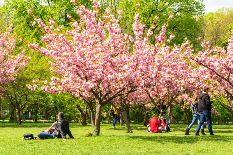 Spots to enjoy spring nature in Bucharest and in the country