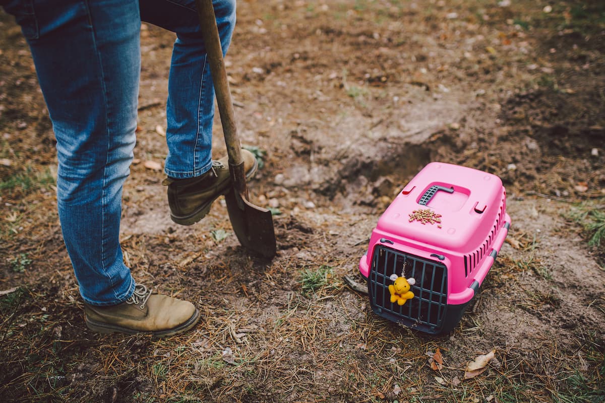 Mayor announces plans for pet cemetery in Cluj-Napoca