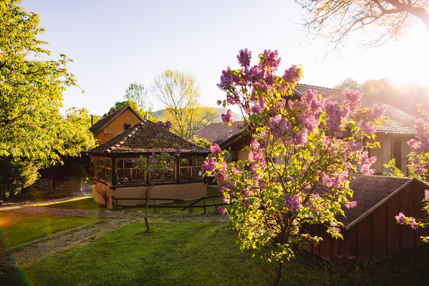 Discover romance in the heart of Transylvania: A serene retreat for couples seeking adventure and intimacy