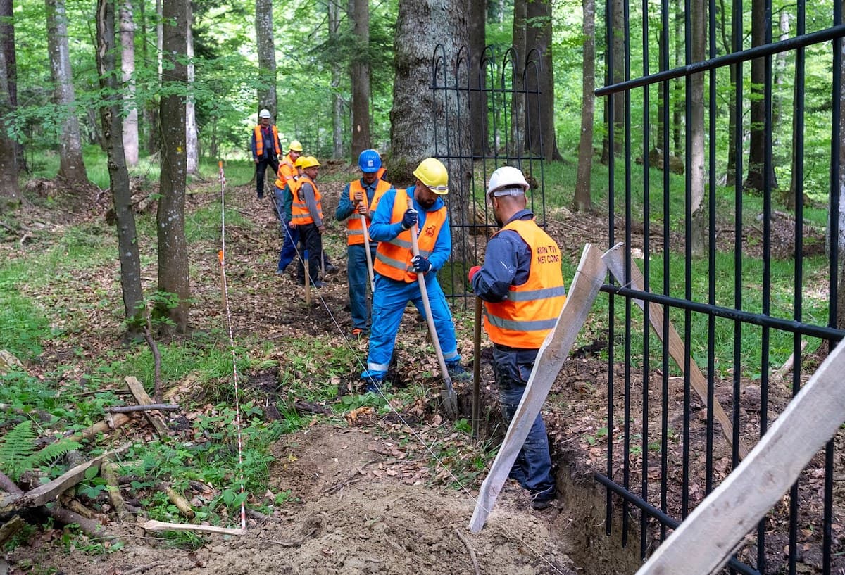 Romania starts building first protection and rehabilitation complex for the brown bear