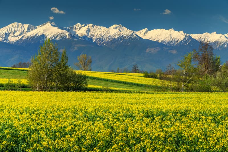 #RODigitalAmbassador: The @Romania NGO promoting the country online