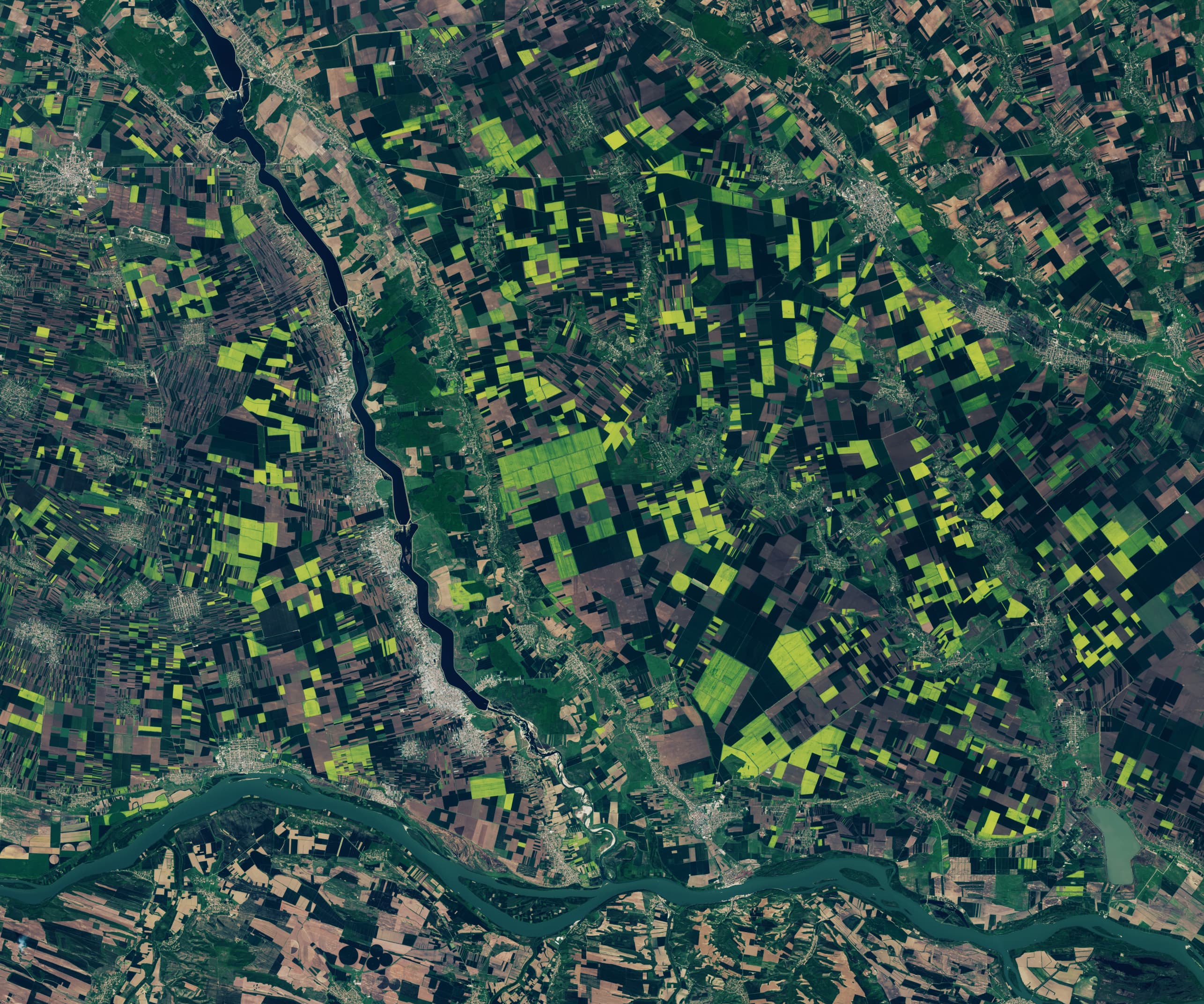 NASA publishes article, pictures of the golden rapeseed fields of southern Romania