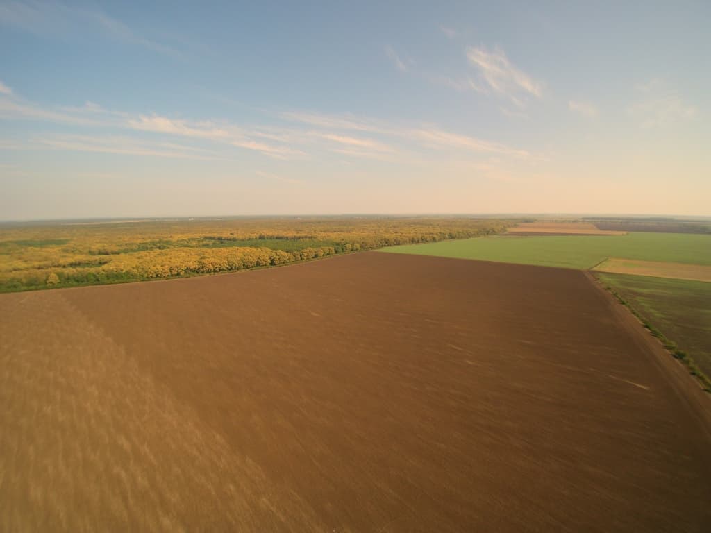 Fall Creek to set up blueberry nursery in Romania on 50-hectare land purchased from Portland Trust