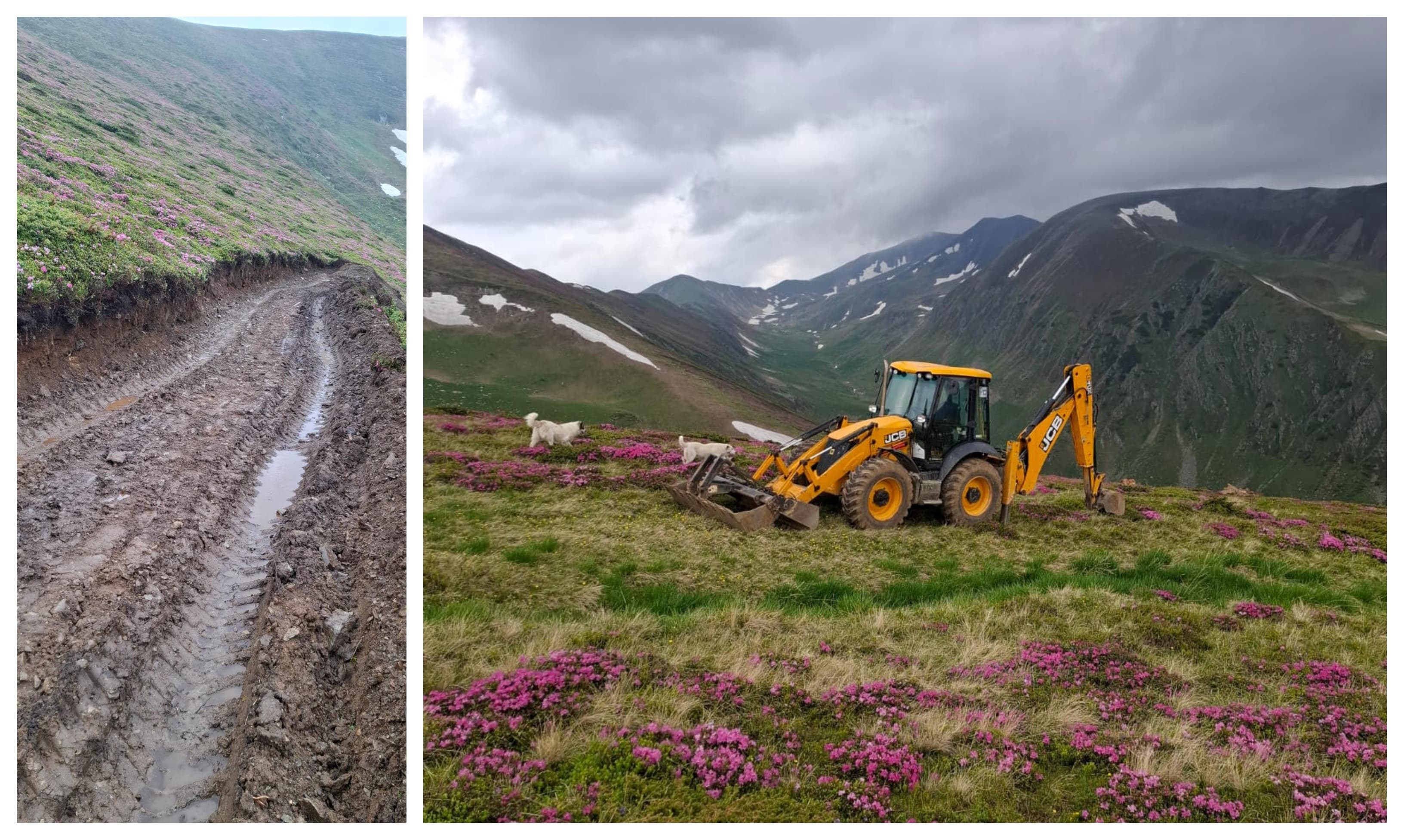 Romanian shepherd accused of building a road in protected mountain area