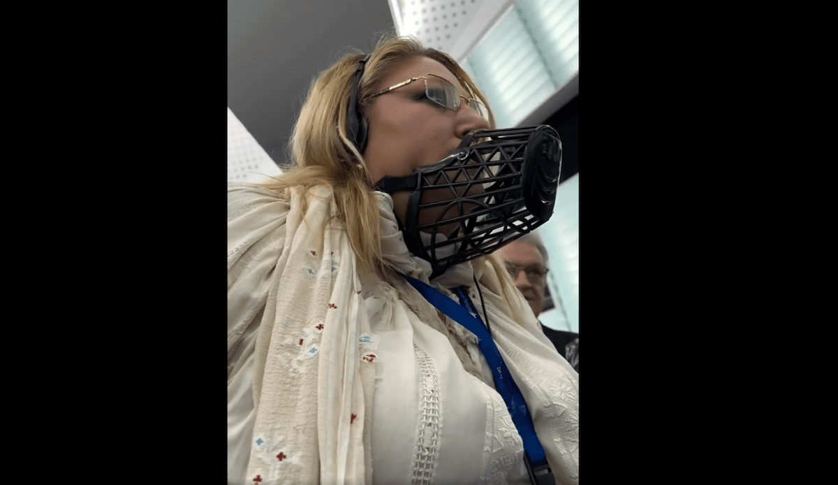 Far-right Romanian MEP Diana Șoșoacă thrown out of European Parliament session