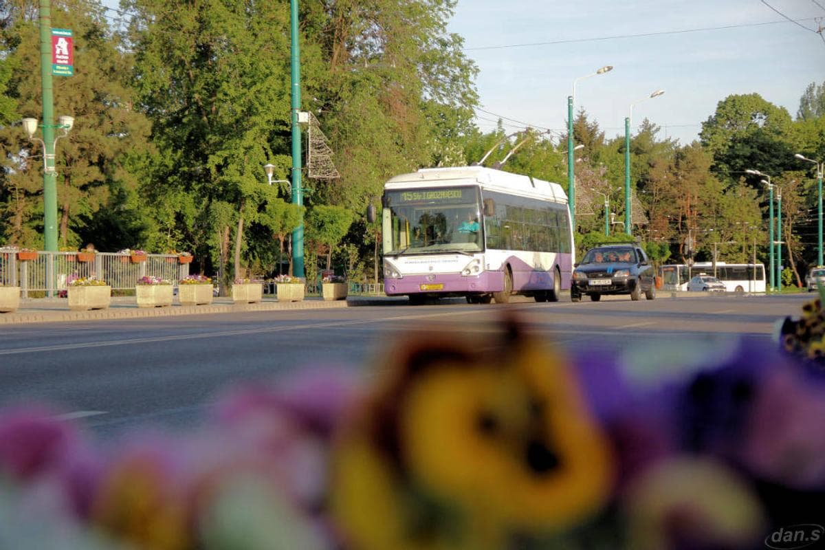 Turkish Bozankaya gets new EUR 20 mln contract from Timișoara City Hall