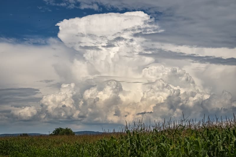 Romanian Govt. approves climate change adaptation strategy