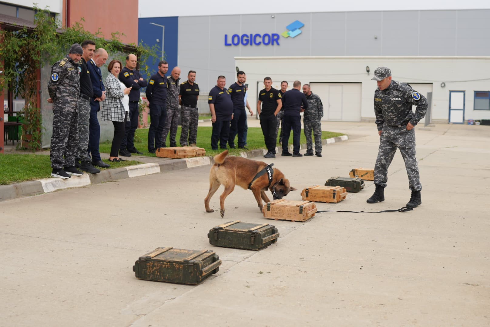 Canine teams from Ukraine’s State Customs Service undergo professional training in Romania