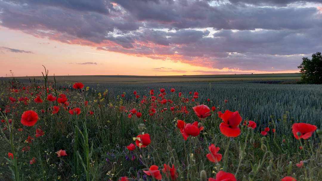 Photo exhibition, documentary look at phenomenon of migration from urban to rural areas in Romania