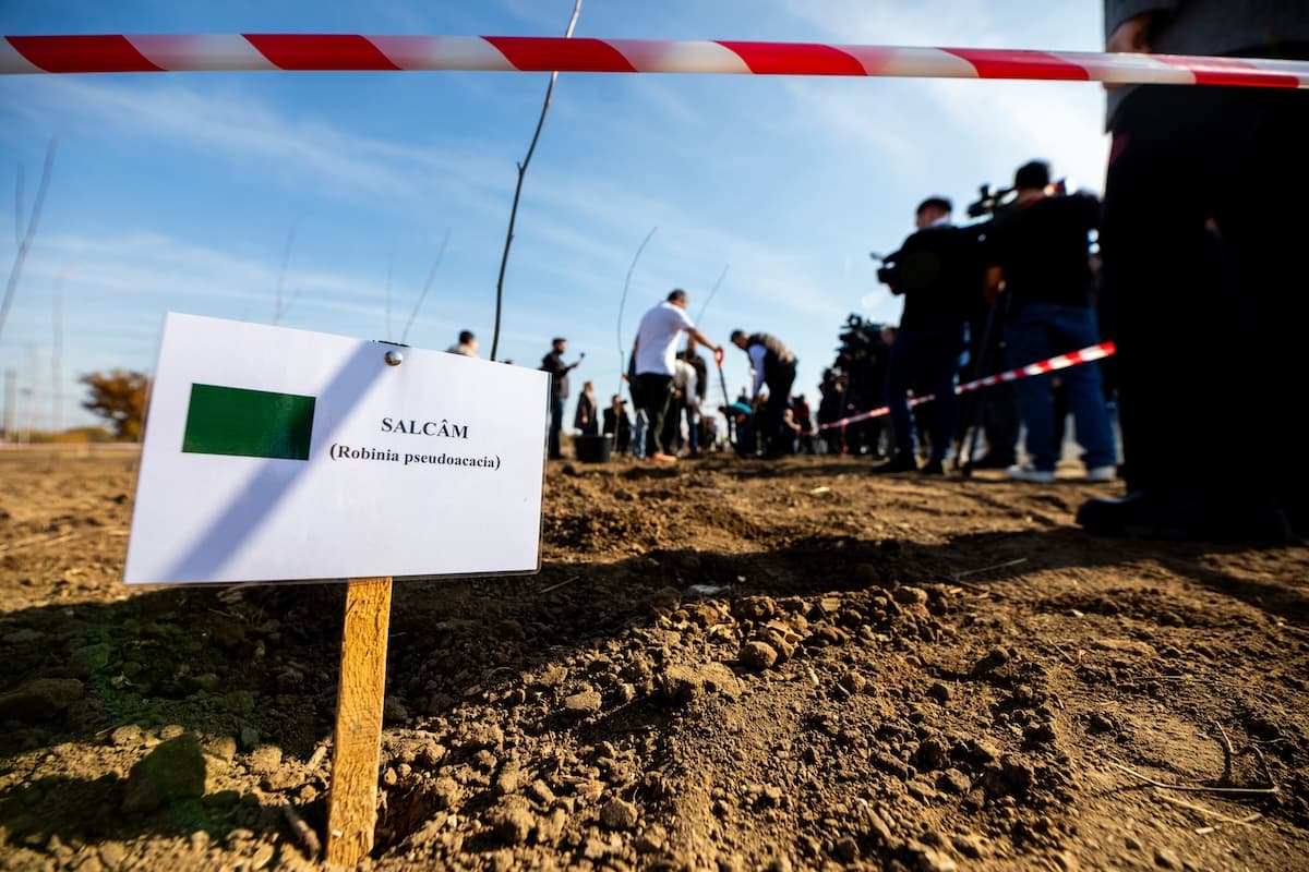 Bucharest’s green belt starts taking shape while initiators move to extend project nationwide
