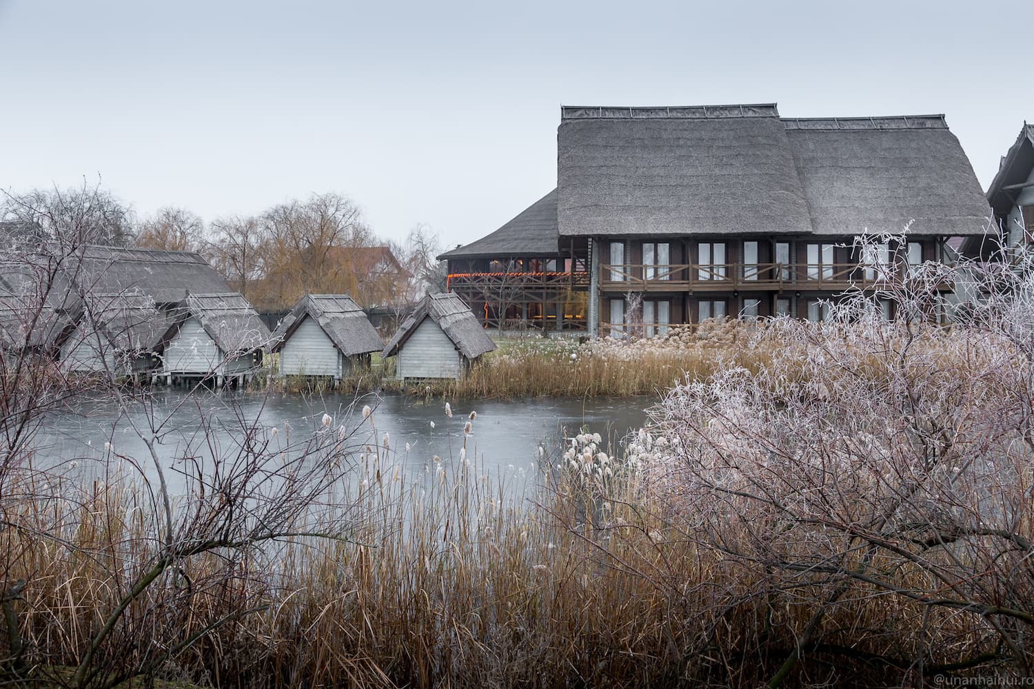 Escape to the Danube Delta for the upcoming holiday season: Celebrate Christmas and New Year at Green Village Resort!