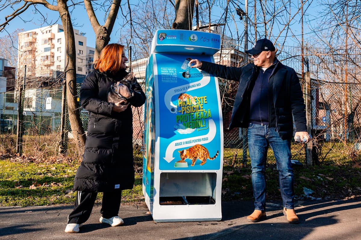 Smart recycling machines feed stray cats in Bucharest parks