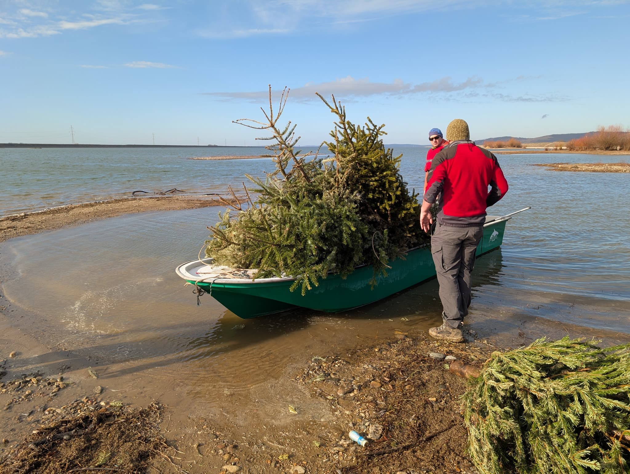 Western Romania: 50 Christmas trees thrown into reservoir to serve as shelter for fish