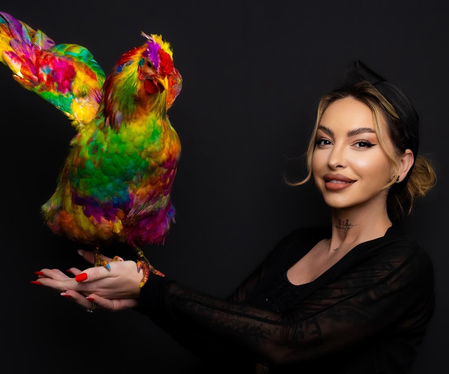 Romania’s first professionally dyed rooster up for auction at EUR 5,000 starting bid