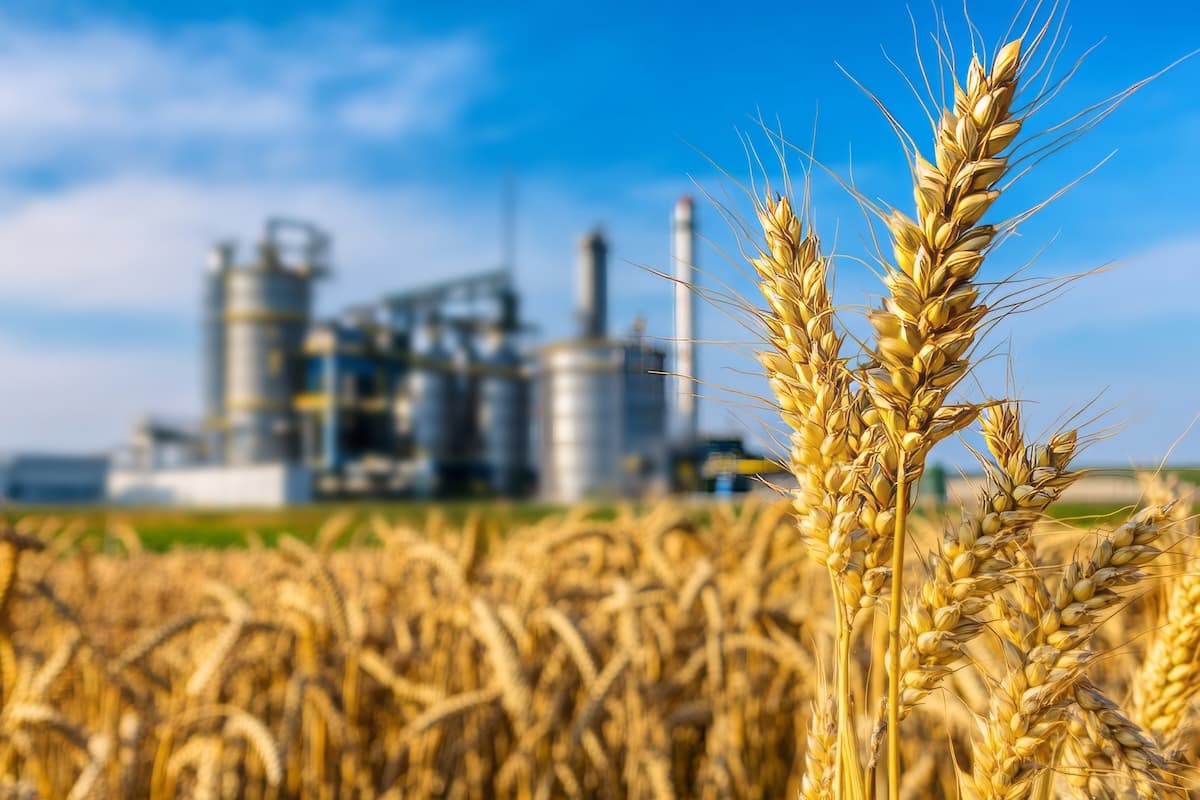 BSOG and local partner to build EUR 65 mln biomethane plant in Romania