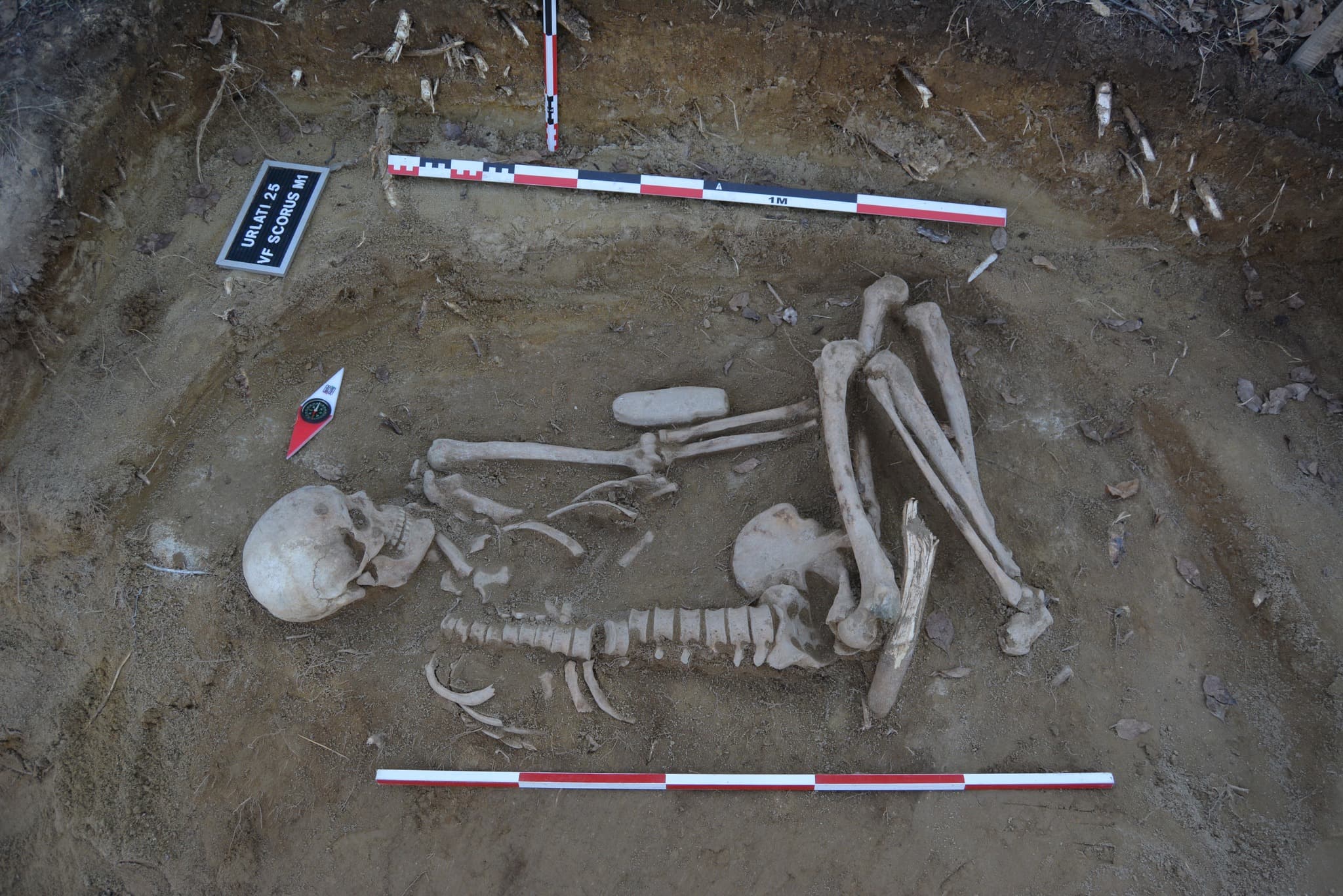 Romanian shepherd finds second prehistoric remains after finding one last year