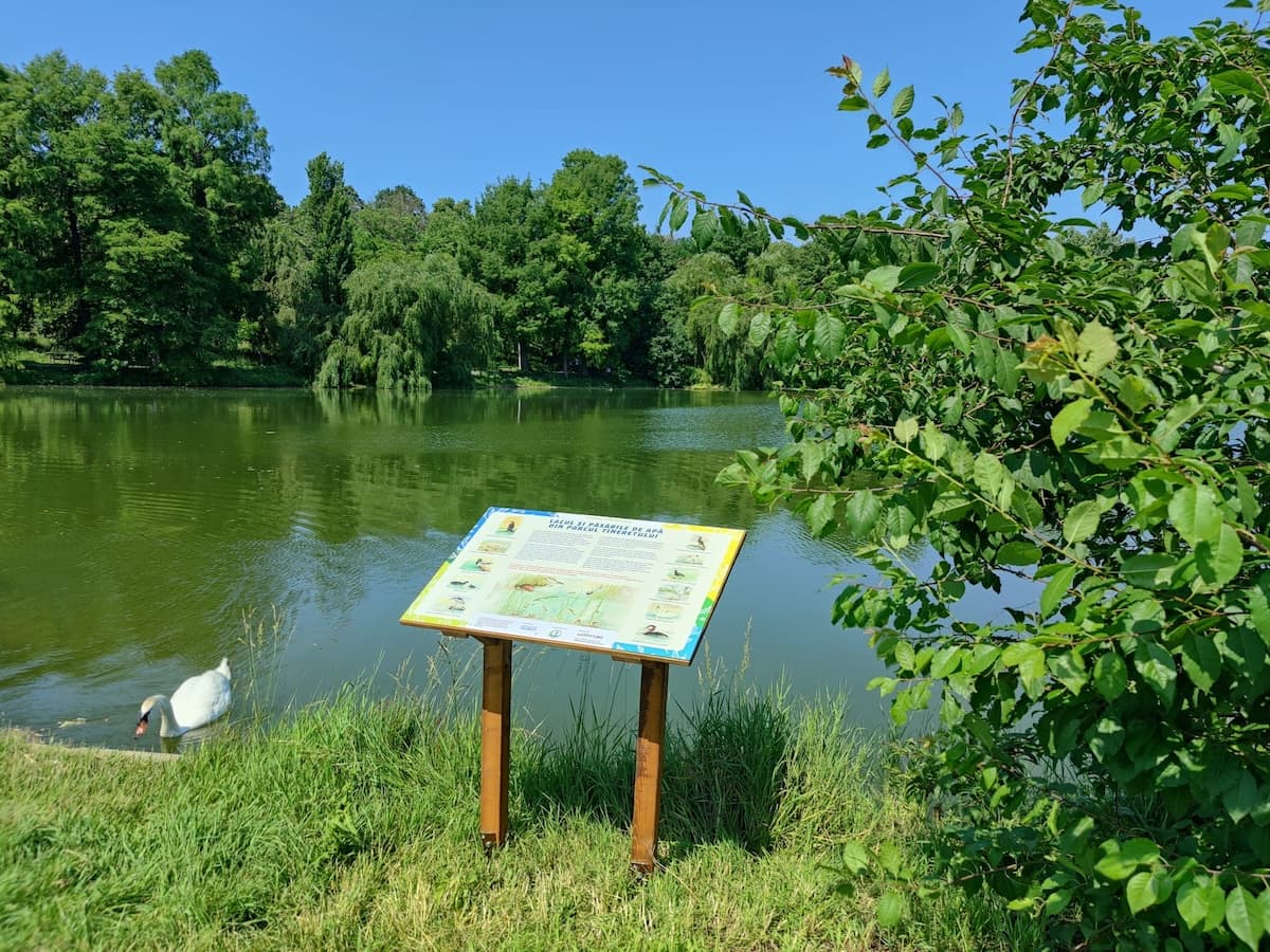New educational trail highlights urban biodiversity in Bucharest’s Tineretului Park