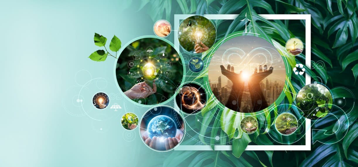 Romania ClimAccelerator opens registrations to green startups