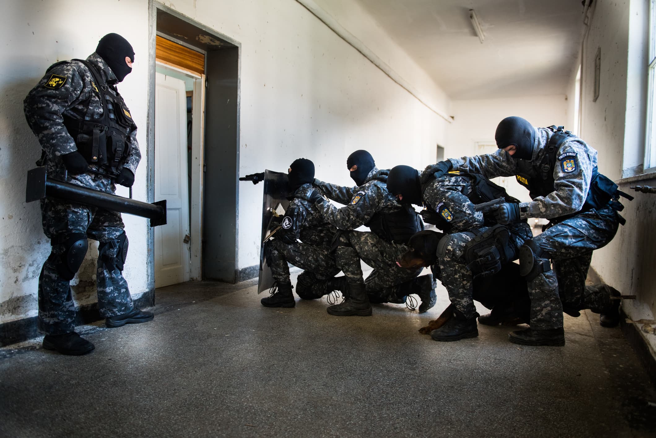 Romanian police seize weapons, ammunition in large-scale operation involving 1,600 searches