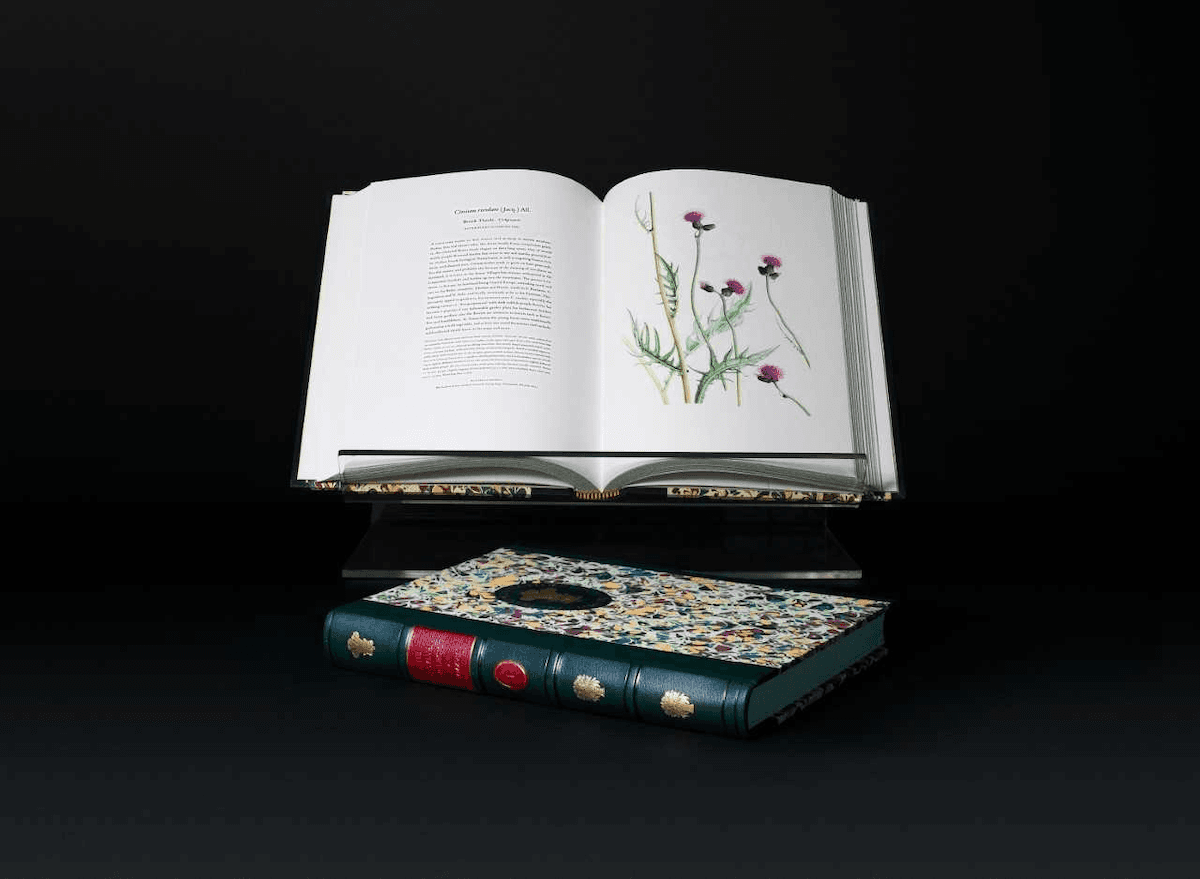 Transylvania Florilegium botanical art album permanently displayed at Romanian Cultural Institute in London