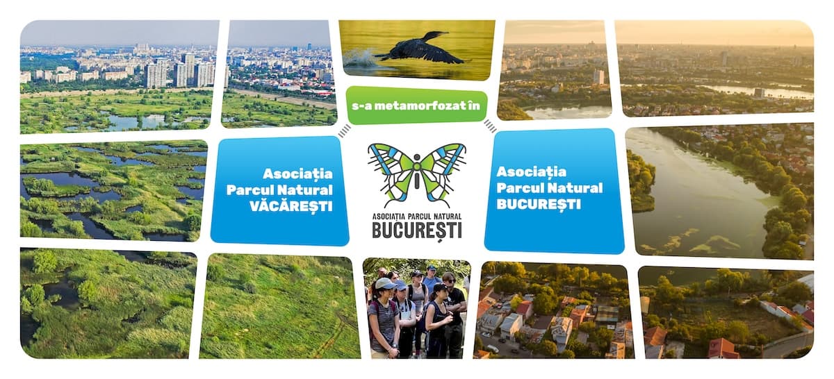 Văcărești-focused organization expands mission, becomes Bucharest Natural Park Association