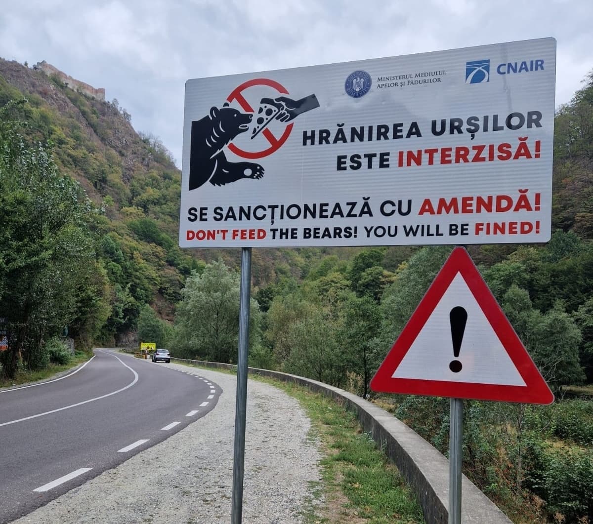 Romania to raise fines for feeding bears by the roadside, environment minister says