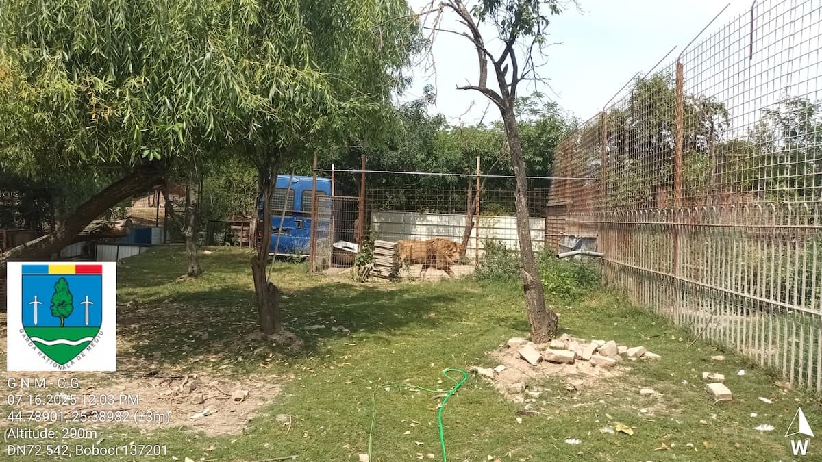 Illegal zoo in southern Romania fined for environmental and animal welfare violations