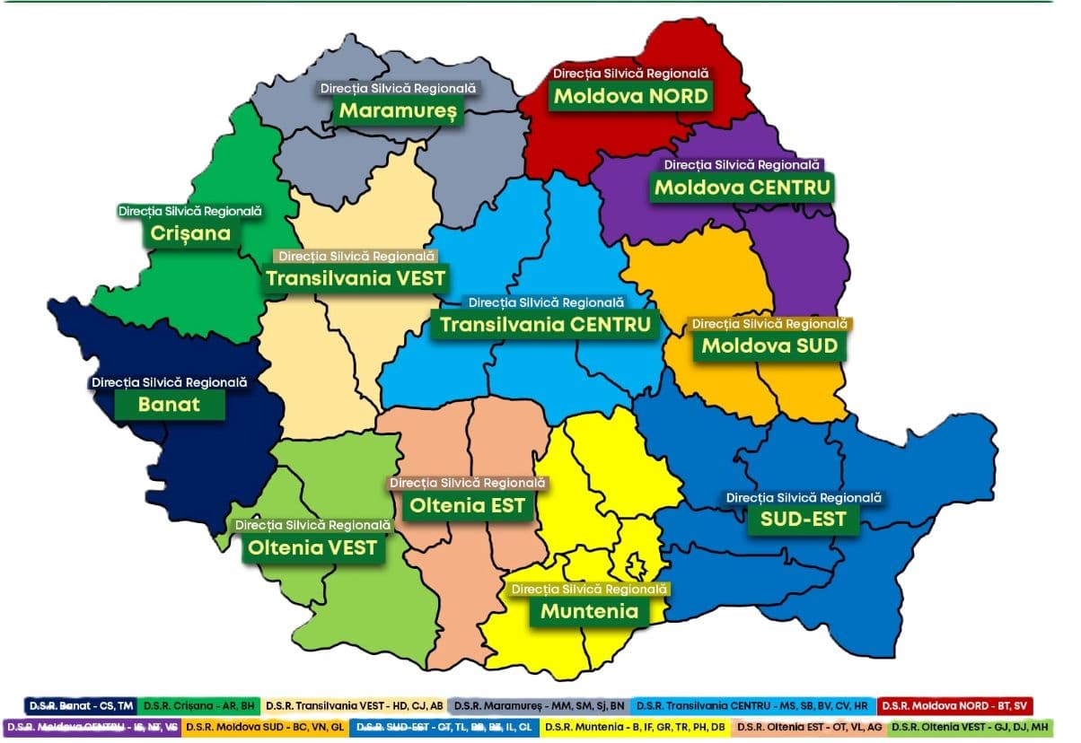 Romanian Environment Ministry unveils reform plan for company managing state forests