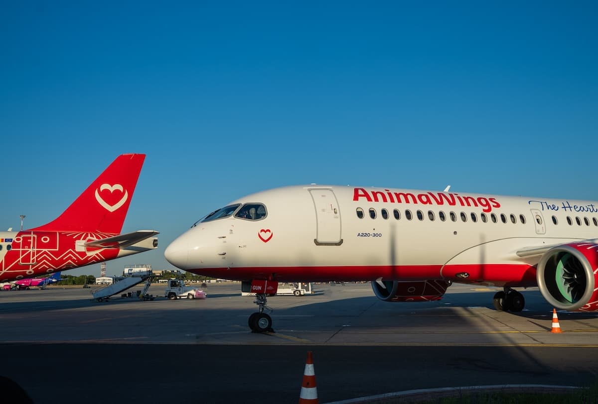 AnimaWings launches route linking Bucharest to Geneva