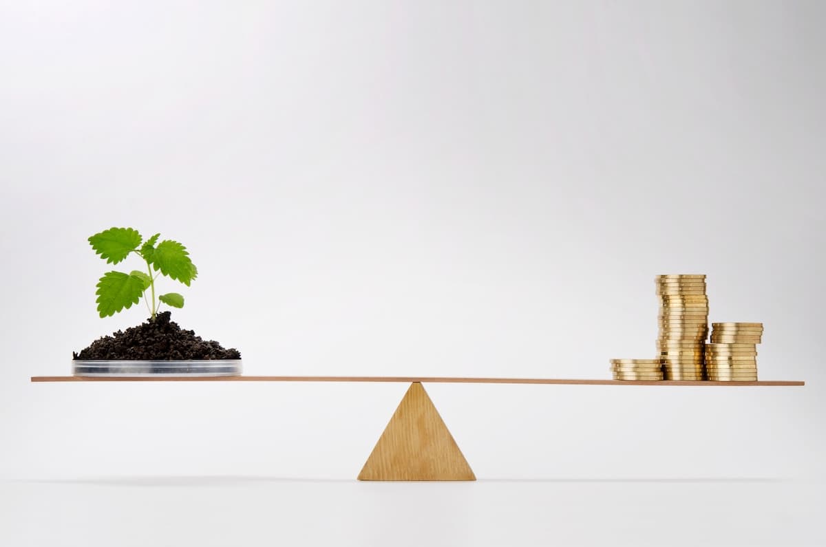 Statistics office: Romania spent 1.9% of GDP on environmental protection in 2024