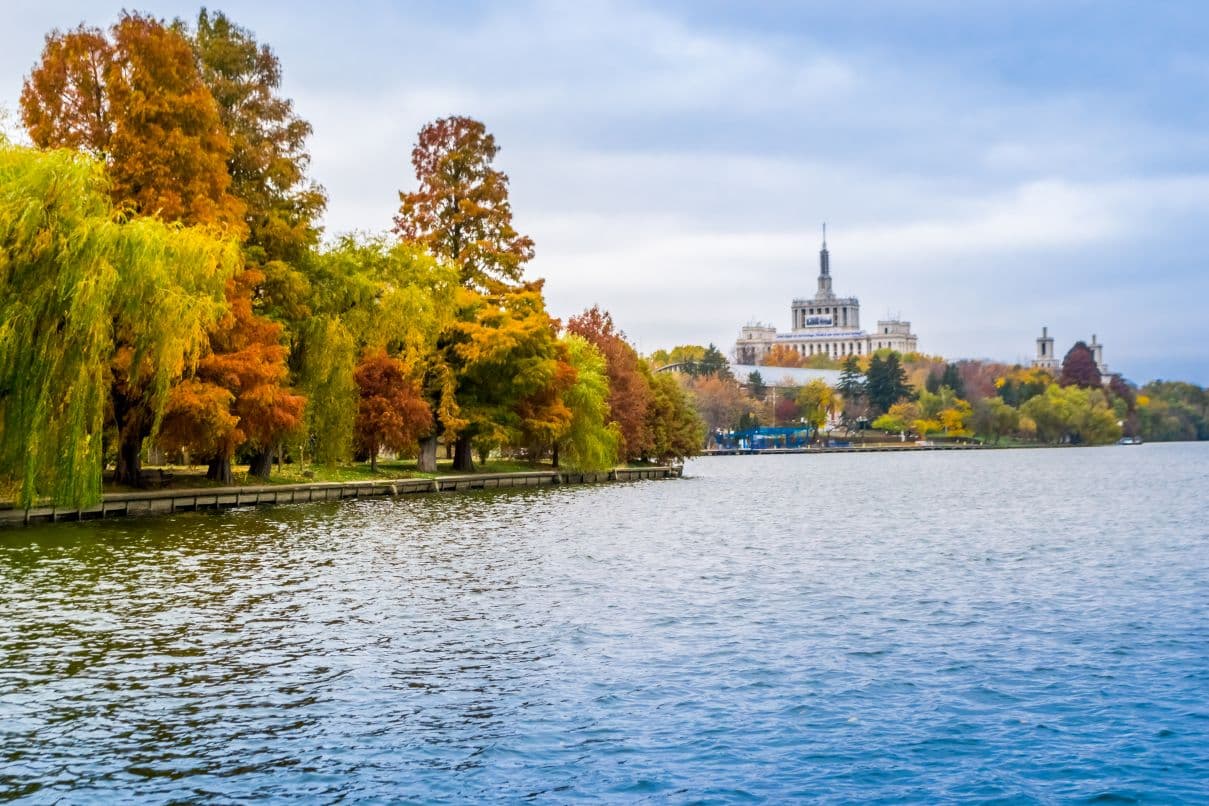 Weekend calendar: SoNoRo, UrbanEye, Halloween events, Dracula Film Festival and more