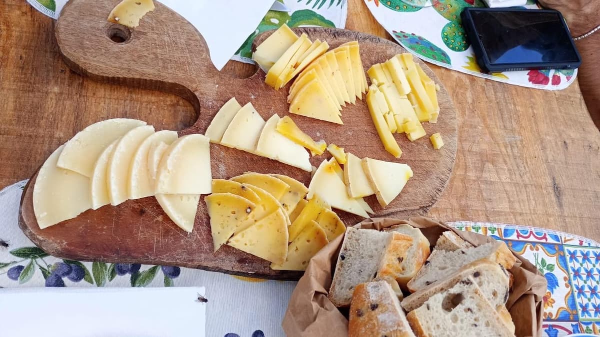 Romanian cheeses win three gold medals at Concours International de Lyon 2025