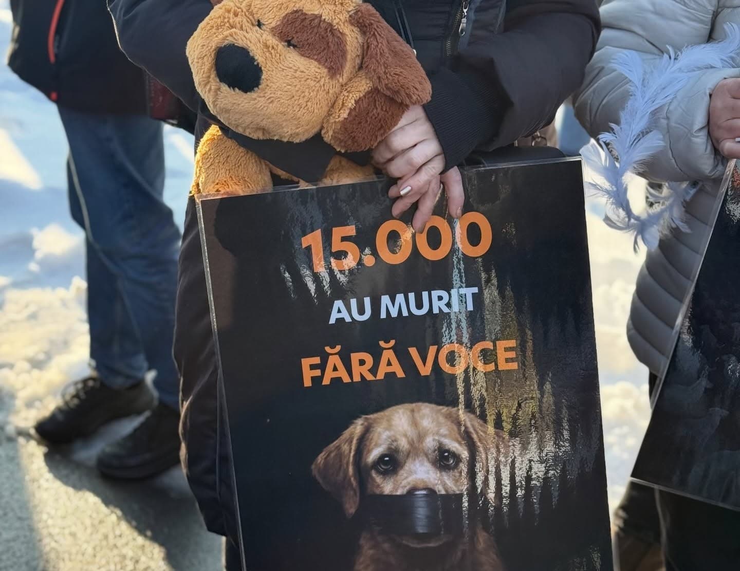 Animal rights associations protest in front of the Romanian Parliament after abuse at a private shelter