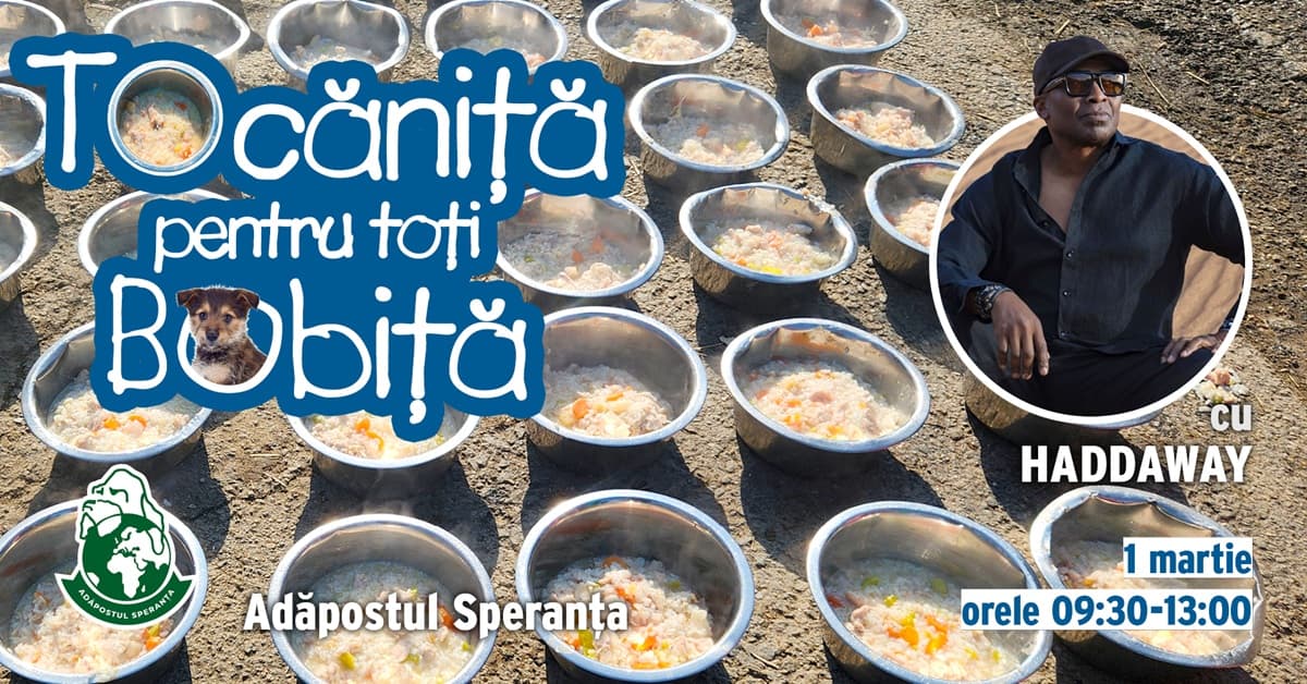 Haddaway to cook for 500 dogs at Speranța Shelter event near Bucharest